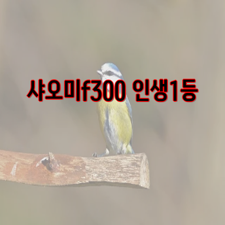 이미지