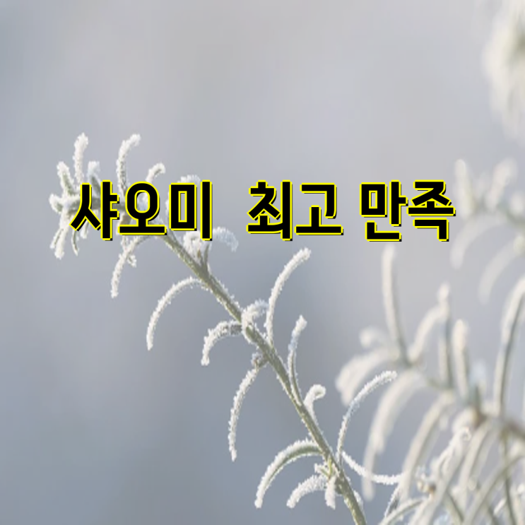 이미지