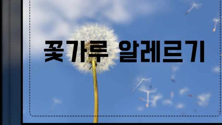 이미지