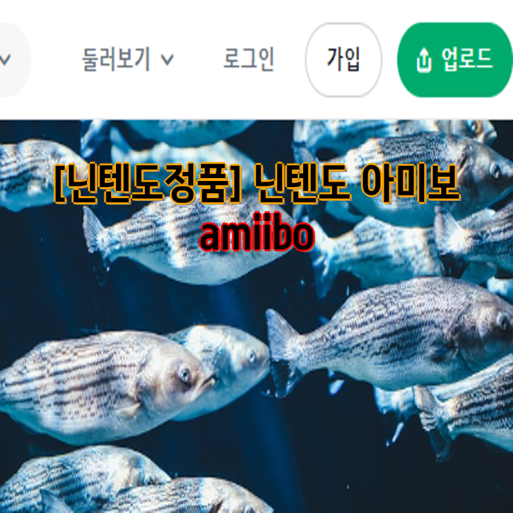 이미지